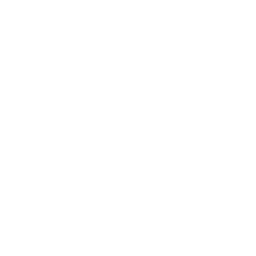 phone (1)